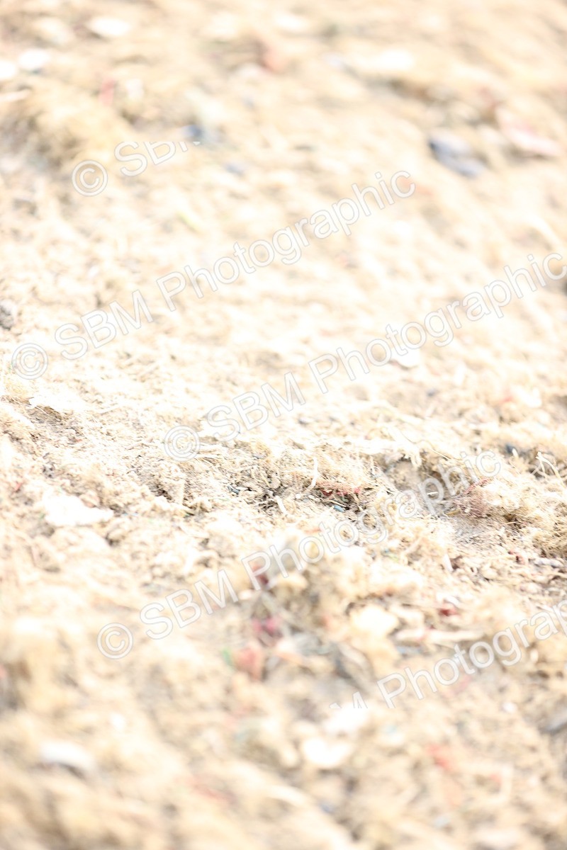 SBM_005121 - Class 20 - National 1.30m 1.40m