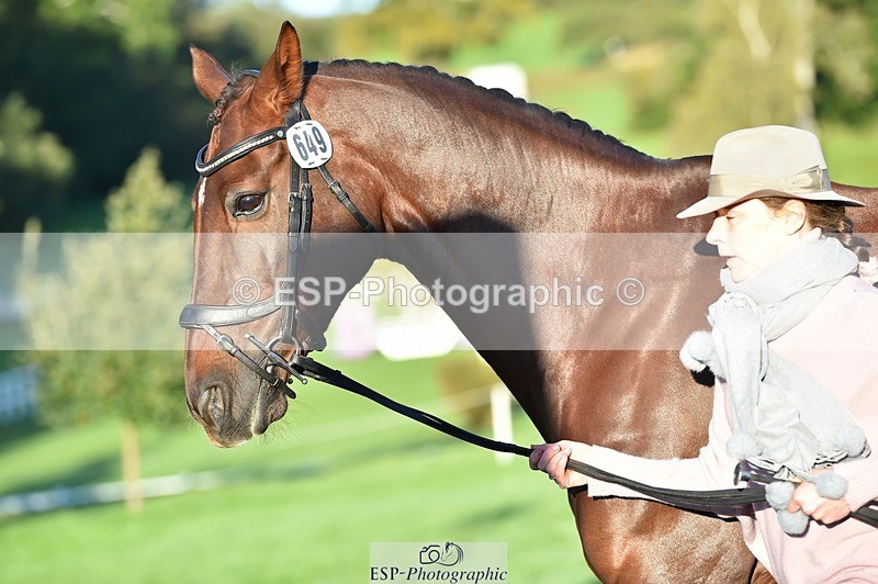 231022-085654-21464 - 649-DONAIL.BEAUANCO-Sheila.Williams-TrotUp+SJ