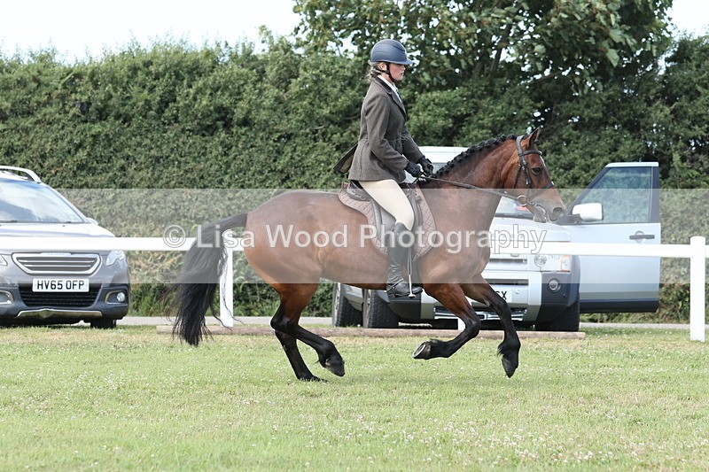 JPP_2405 - Class 19: Working Hunter 60cm