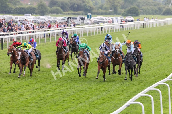 170524-Race 1-Betty Clover-2113 - Race 1 2.15pm Clipper EBF Marygate Fillies' Stakes
