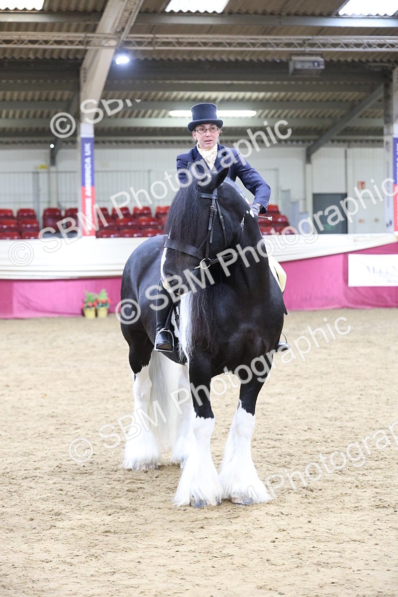 SBM_23838 - class 906 - Supreme Final - Ridden Pre Vet
