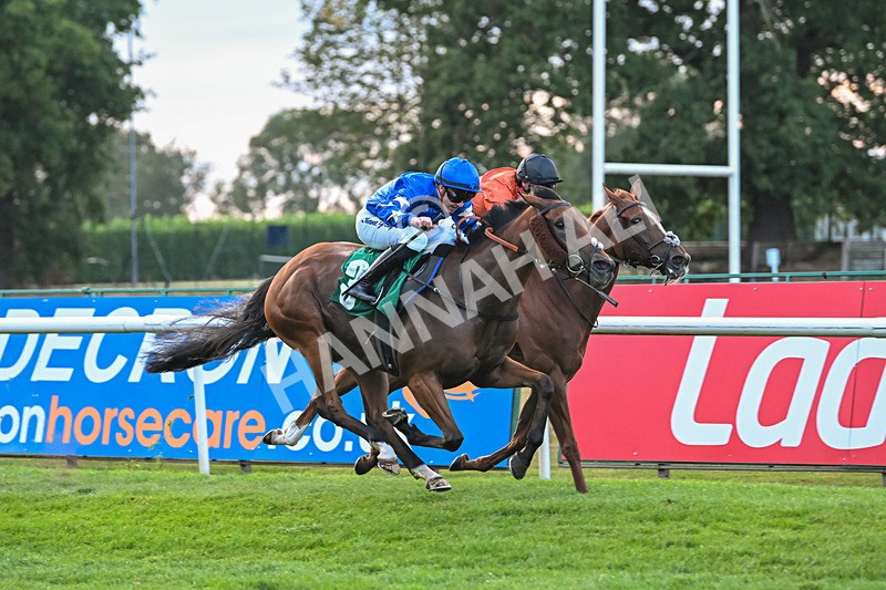 150825-Race 5-Jez Bomb-2989