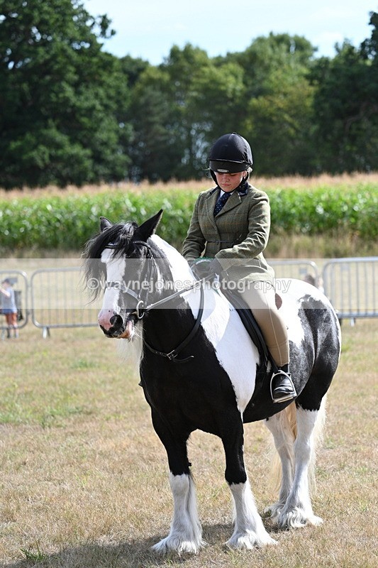 WJ7_7414 - Class 14 Ridden Coloured