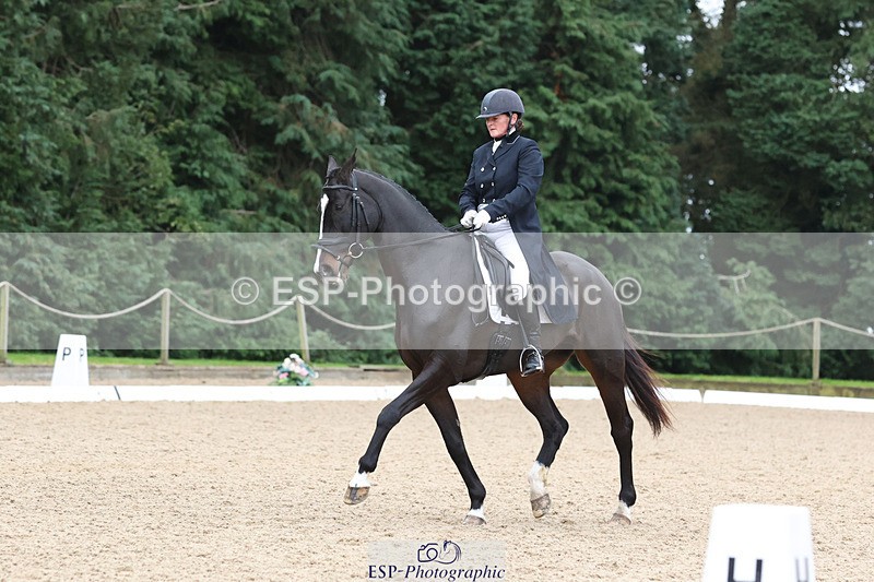 241024-154144-04894 - 235-Sam.Jennings-BILLY.ENERGETIC