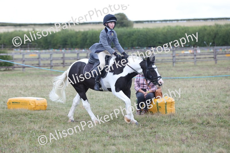 20250831-4247 - Class 20 - Ridden Coloured