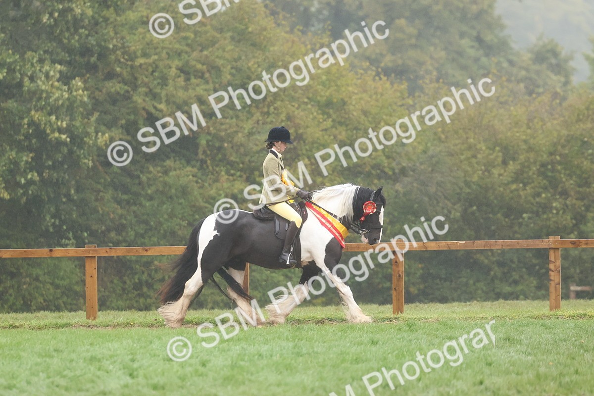 SBM_73199 - Super Supreme Championship(Sun)