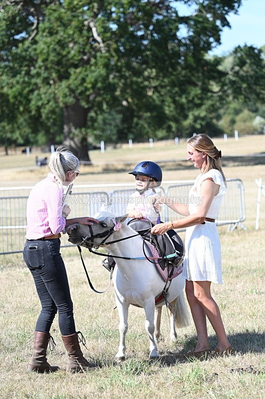 WJ7_1361 - Class 41 Prettiest Mare