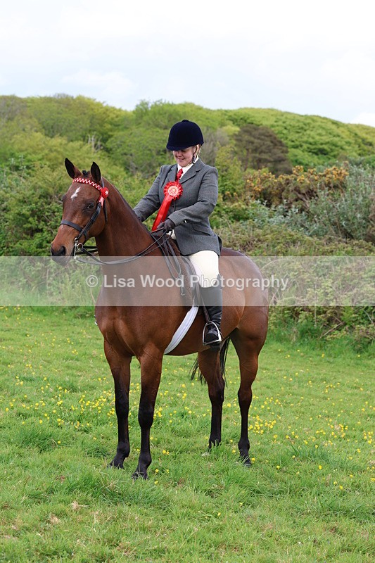 3E7A1894 - Class 9: Riding Club Horse/Pony