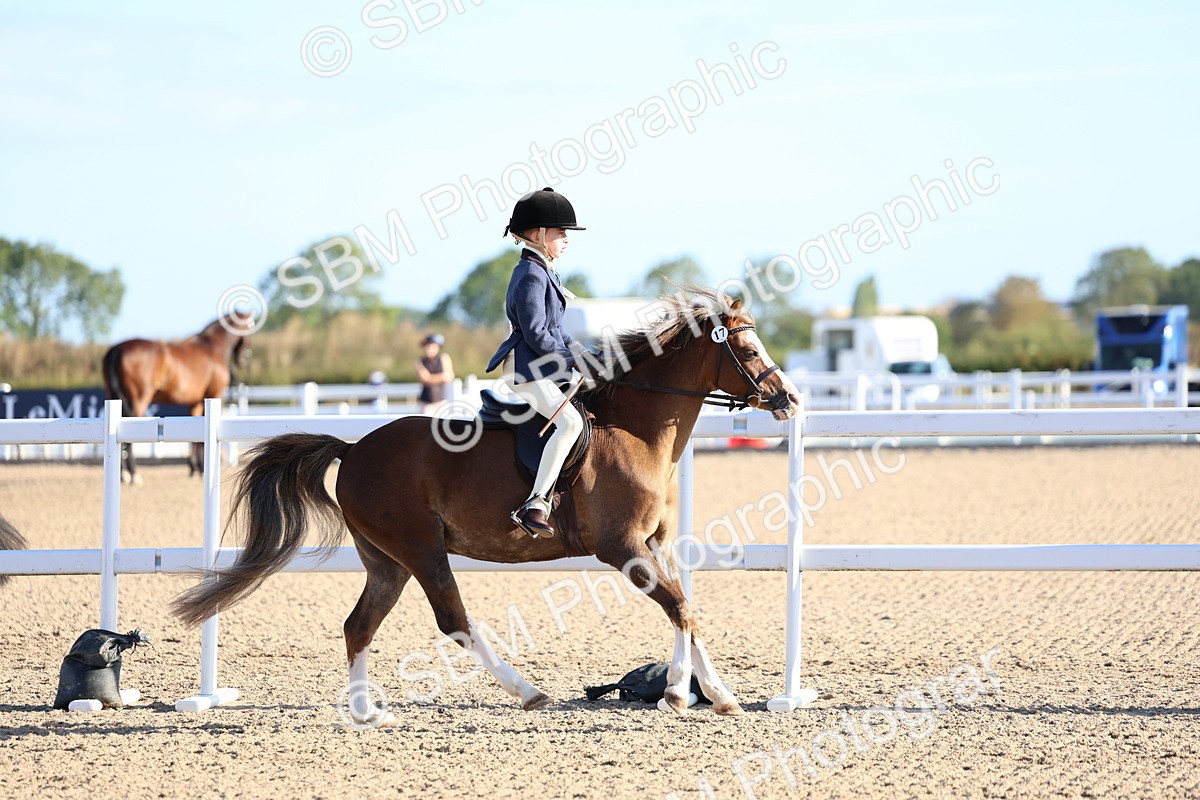 SBM_07800 - Class 301 - Ridden M&M - Small Breeds