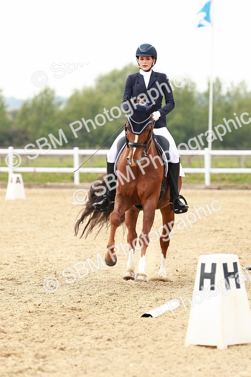 SBM_002774 - Class 12 - Medium 4