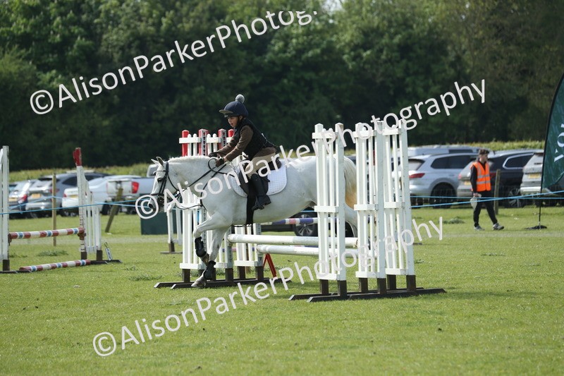 20260426-1548 - Class 14 - Novice 60cm