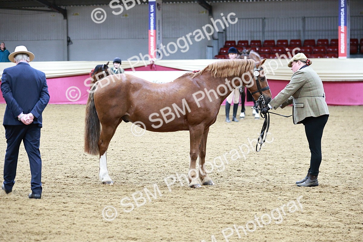 SBM_00307 - Class 1A - Area IH Diamond