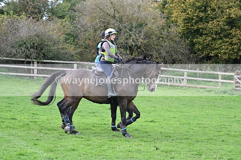 WJ7_0188 - Time 13:55 to 14:26