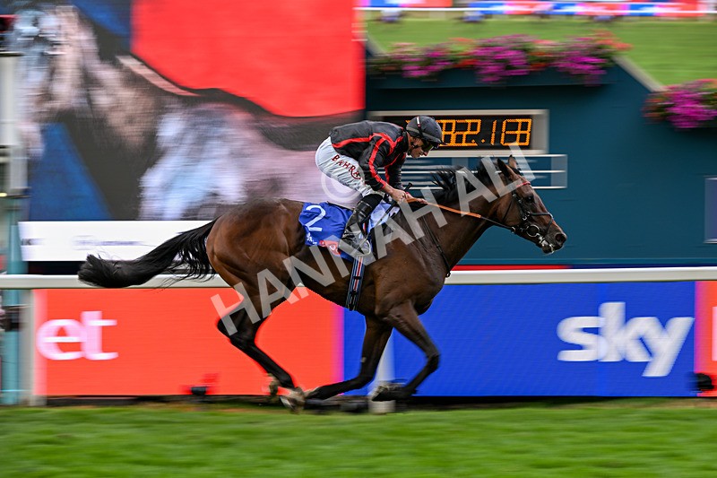 190826-Race 3-Maltese Cross-1089 - Race 3 15.00pm Sky Bet Great Voltigeur Stakes