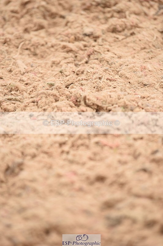 230628A-145152-00771 - Cls 5 Foxhunter & 1.20m Open