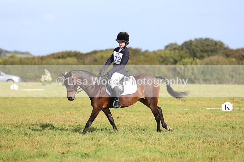 3E7A5977 - Class 1: Trebudannon Open: Dressage (Part 2)