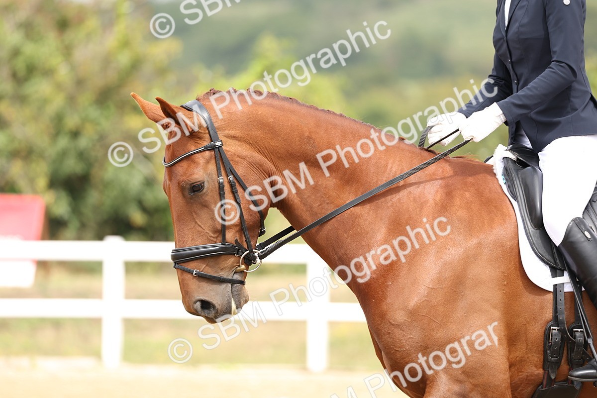 SBM_006304 - Class 6 - novice 6 - 11.50-12.46