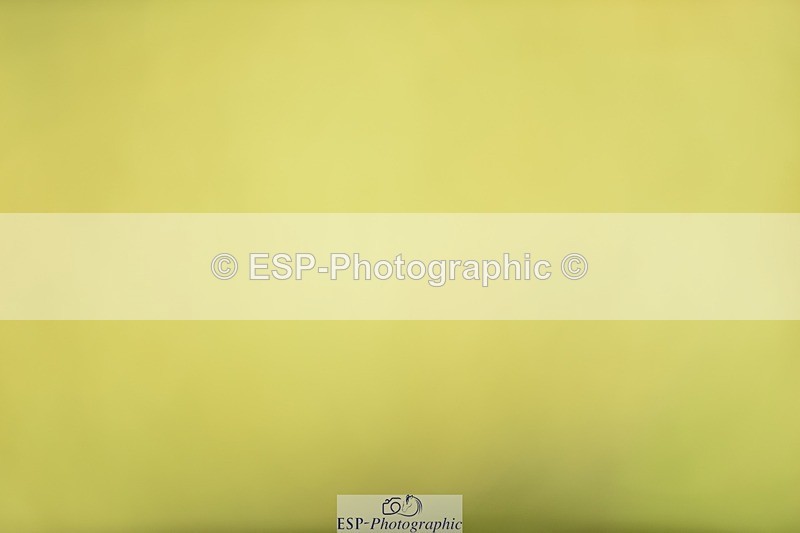 240523B-114622-02072 - 5 Year Old