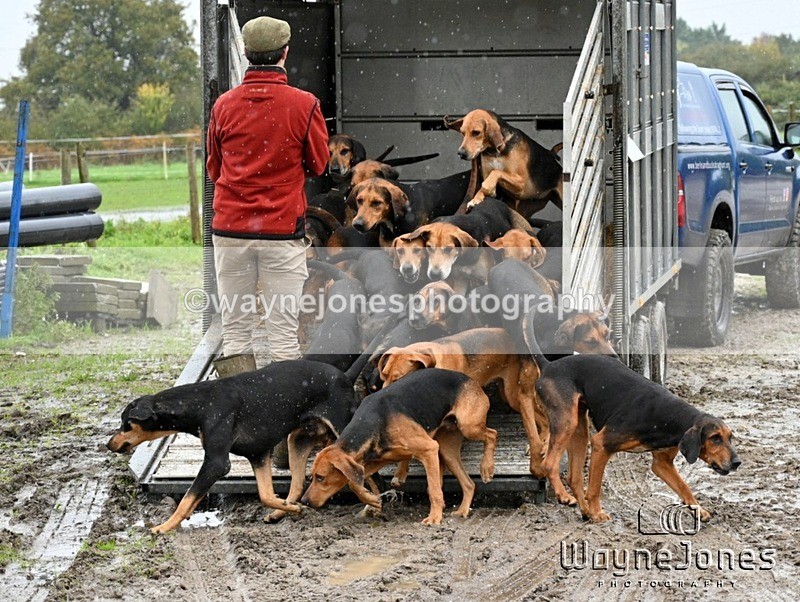 WJ7_8196 - Berks & Bucks Blackcroft Farm 20-10-24