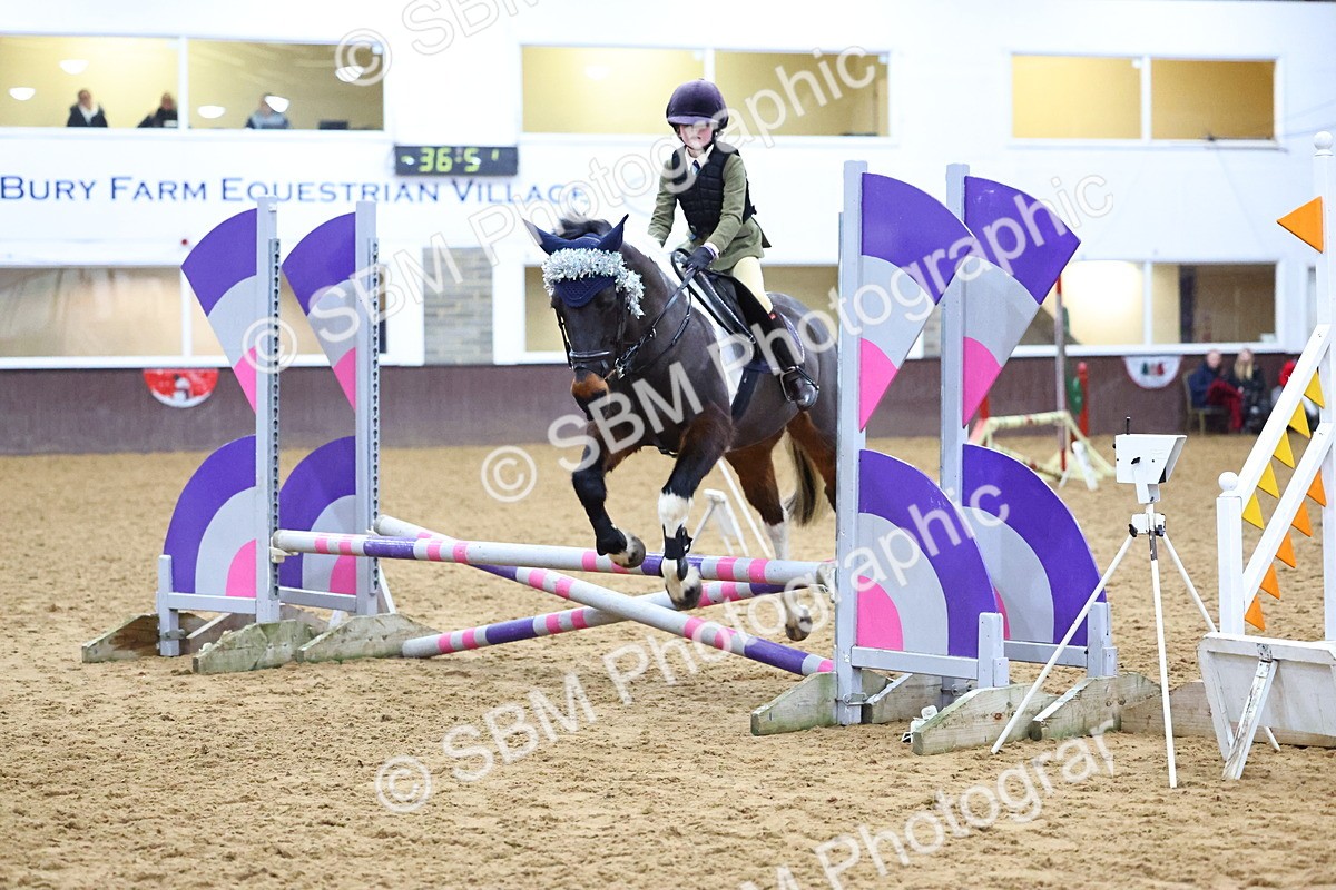 SBM_001460 - Class 3 - Christmas Tree Stakes - 60cm