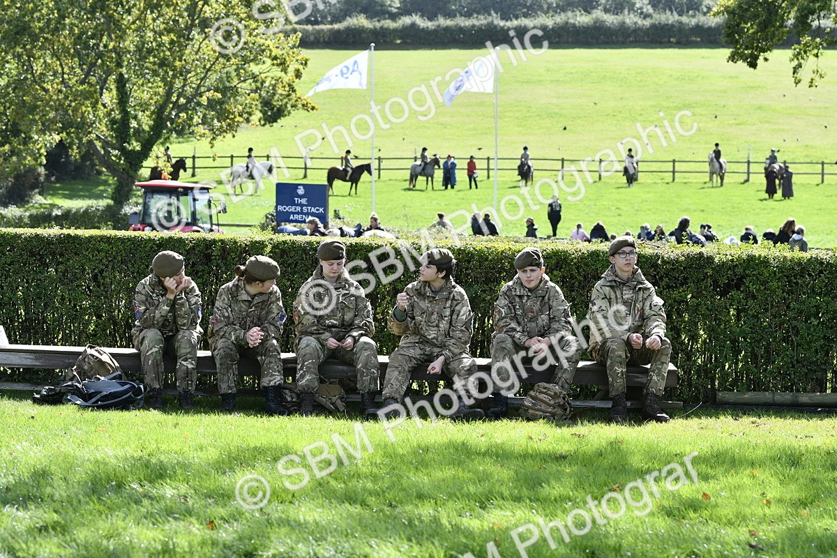 SBM_45653 - S33 - Working Hunter Pony