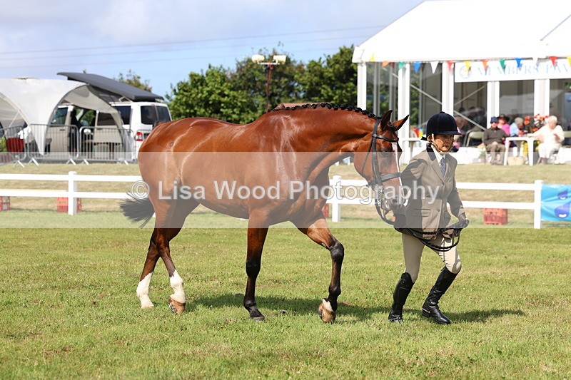 3E7A9568 - Class 4: Rising Star M/H Hunter