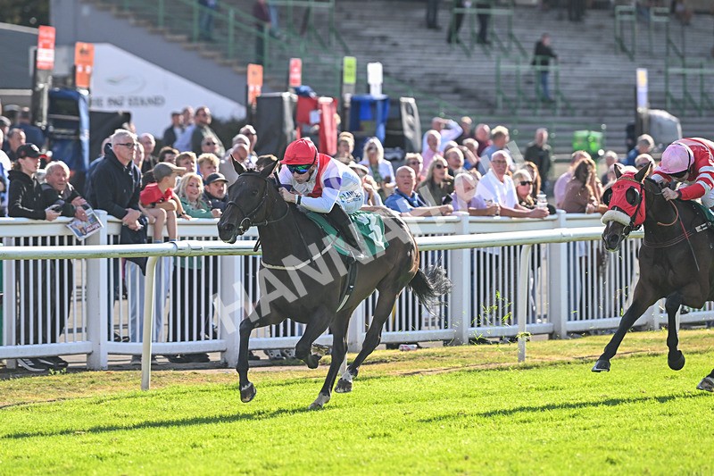 290825-Race 7-Crocus Time-9271 - Race 7