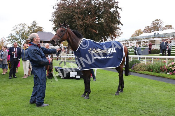 yr07102022r2-51 - Race 2 2.40pm William Hill Autumn Mile