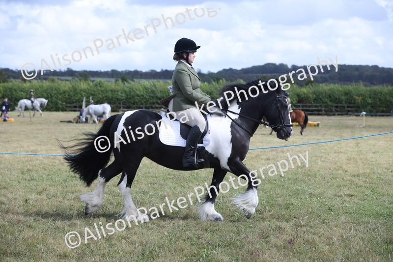 20250831-4178 - Class 20 - Ridden Coloured