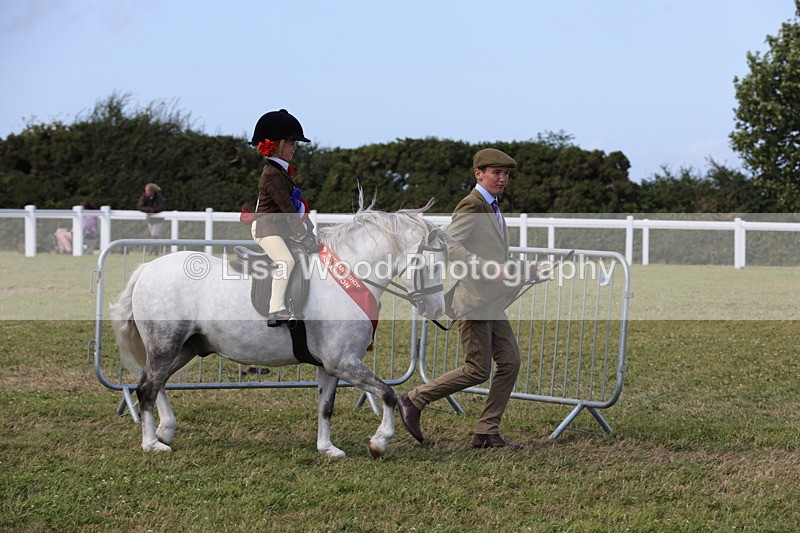 1X9A5507 - M&M Mini Ridden Championship