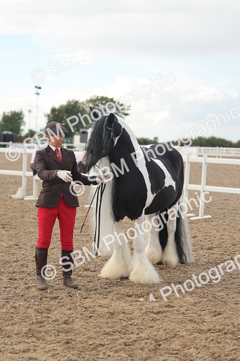 SBM_08559 - Class 29 - IH Veteran Pony