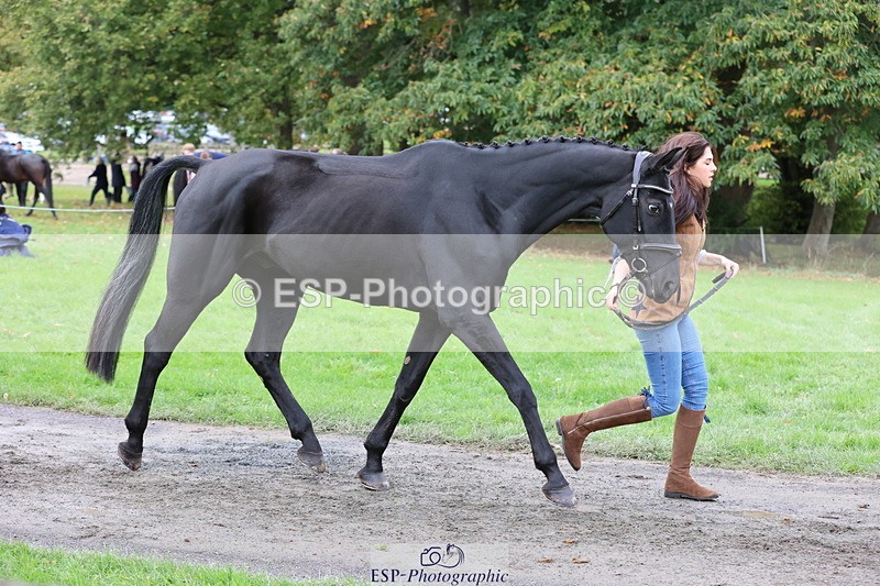 251026A-105800-23408 - G-505-Sarah.Amos