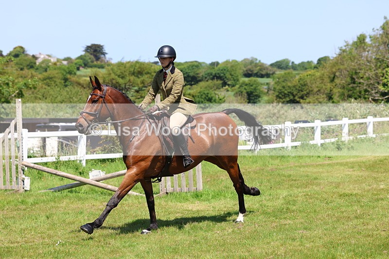 3E7A7294 - Class 30: Novice Working Hunter