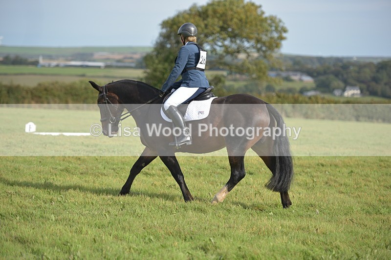 RAY_7787 - Class 2B: Trekenning Open: Dressage