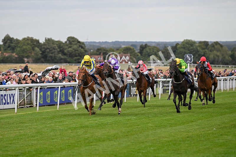 250824-Race 2-Ludos Landing-2923 - Race 2