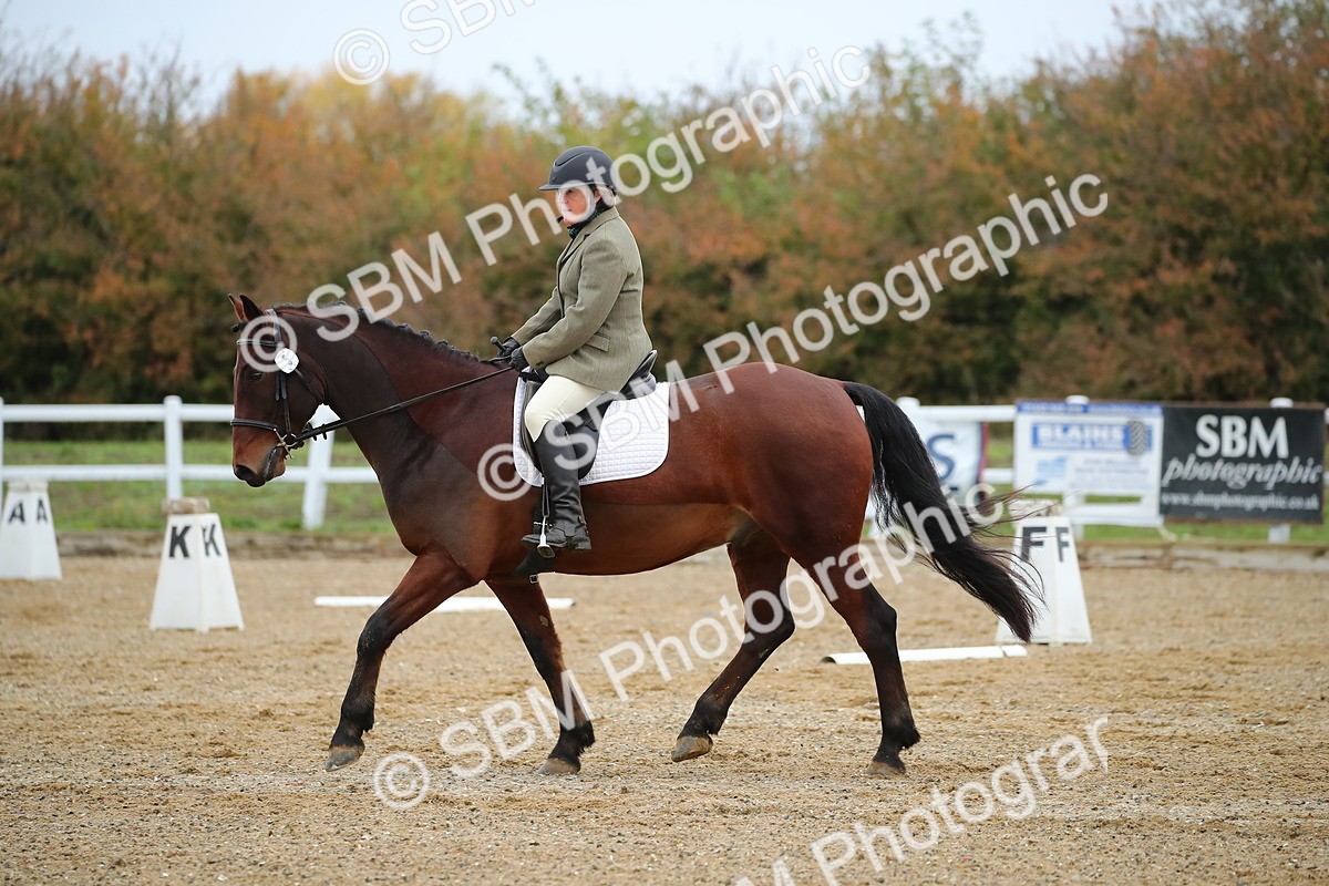 SBM_000385 - Intro 2