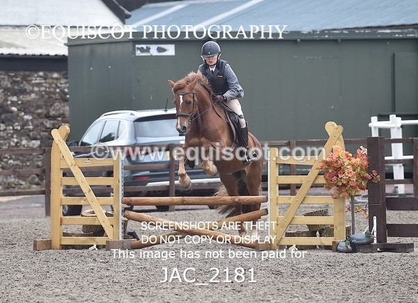 JAC_2181 - CLASS 2 Novice Working Hunter