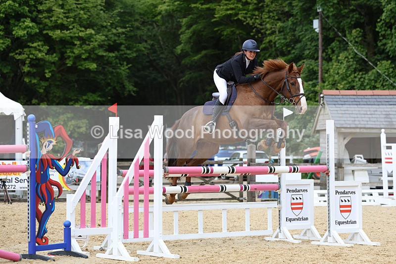 3E7A7471 - Class 8: Senior Foxhunter/1.20 open