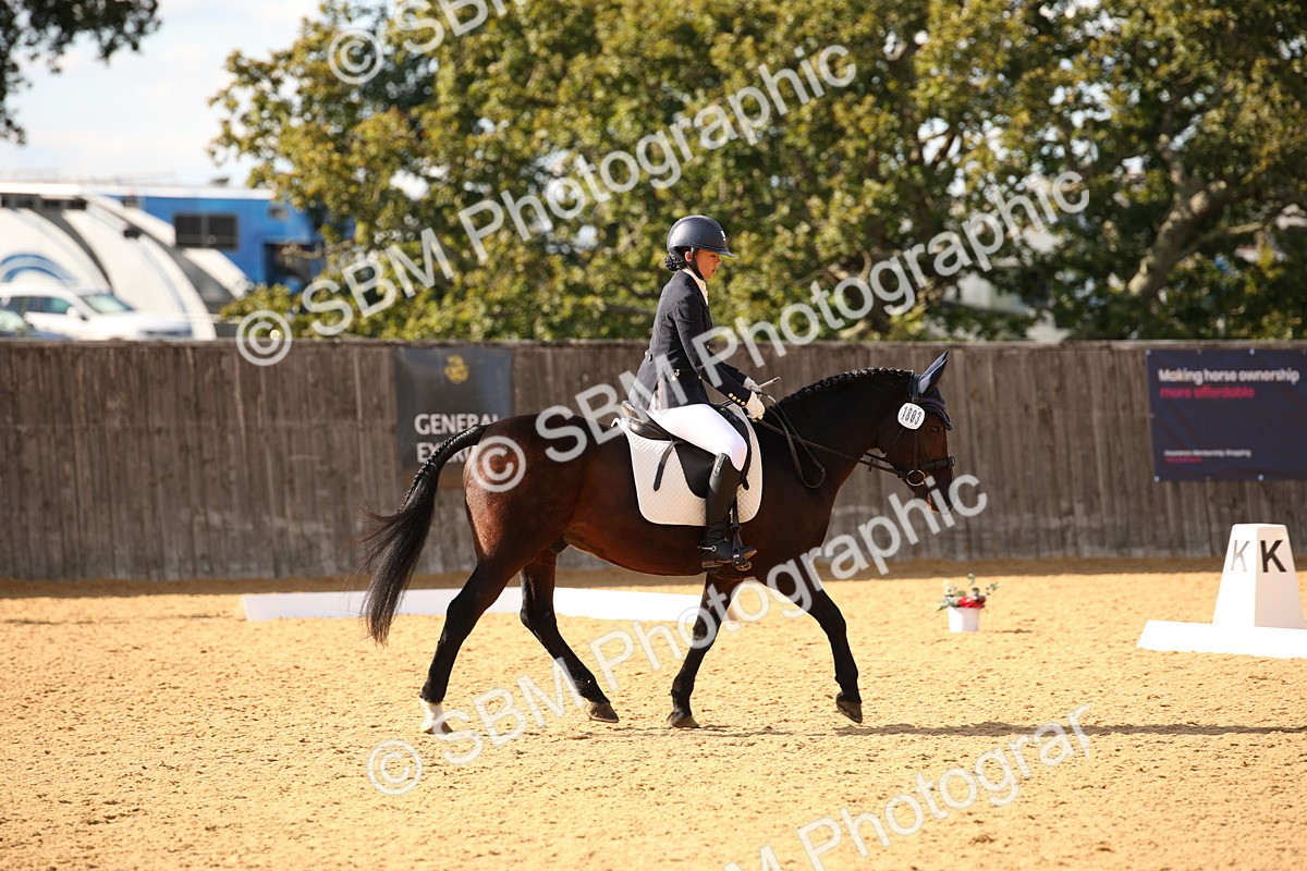 SBM_28185 - D11 - Small Tour Championship - Prelim 13