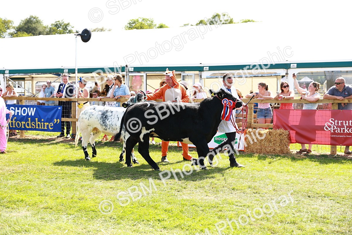 SBM_08423 - Grand Parade