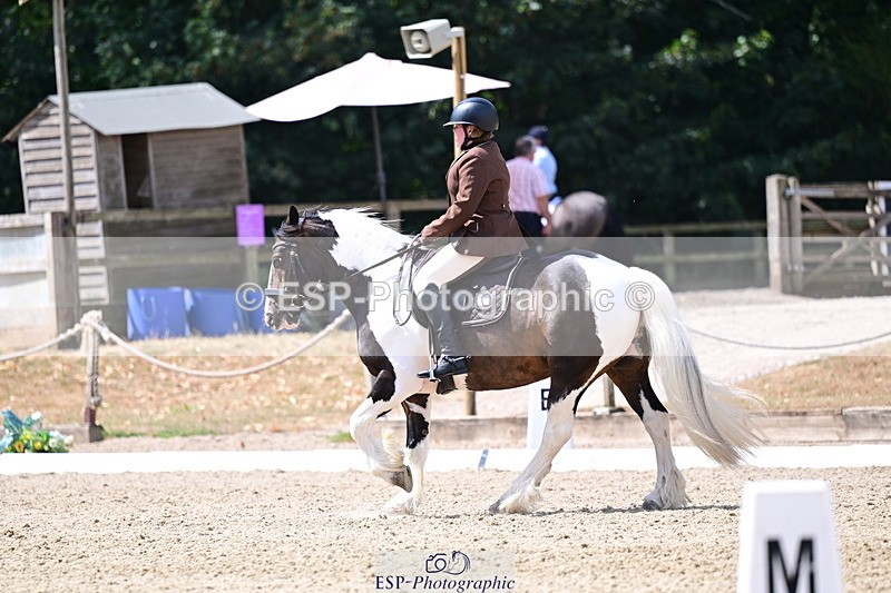 260802A-115320-06466 - Novice Bronze break - end