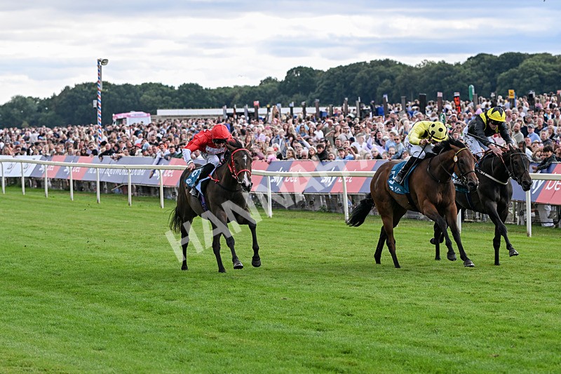 250726-Race 5-Rogue Jewel-7561 - Race 5 15.42pm Sky Bet Price Boosts EBF Fillies' Novice Stakes