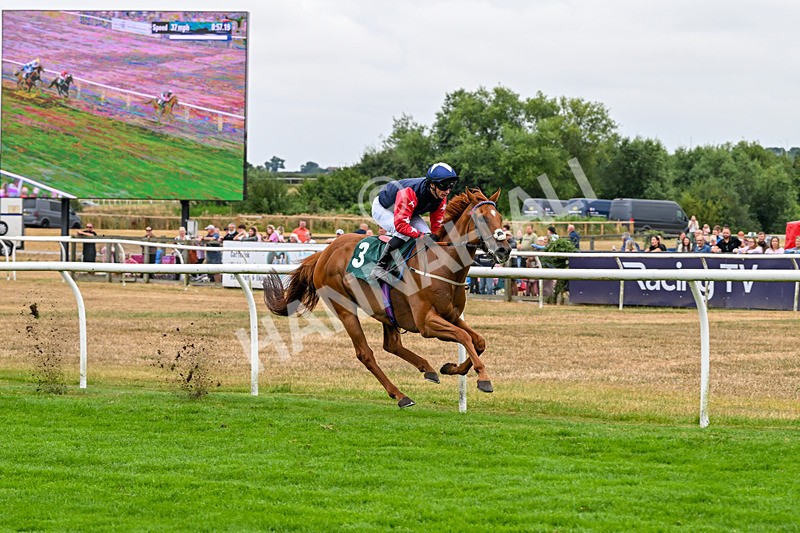 170826-Race 5-Our Absent Friends-9756 - Race 5 16.15pm racingtv.com Handicap
