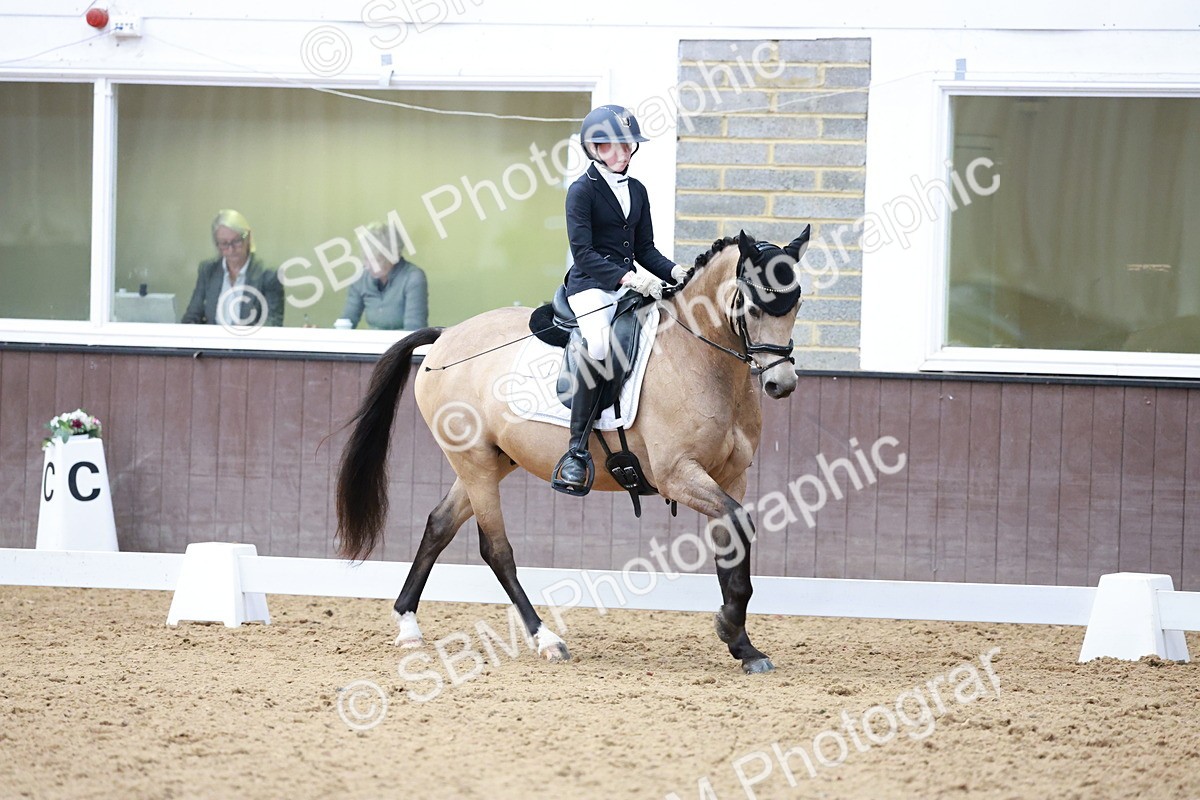 SBM_017231 - Class15 - FEI Pony