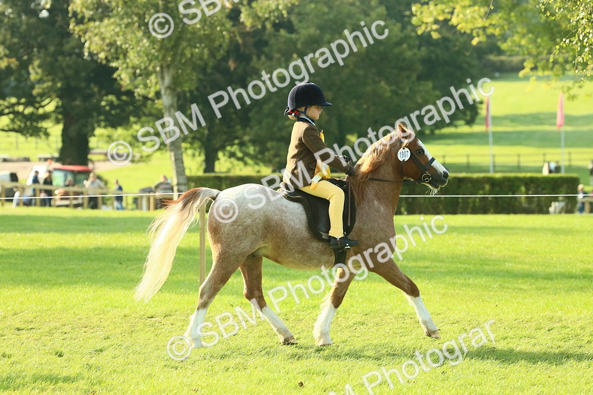 SBM_59285 - S38 - Starters Ridden Showing