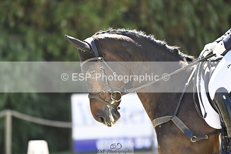 250522A-112736-03119 - B-319-Ali.Wilkes-JAZZ.ROOS