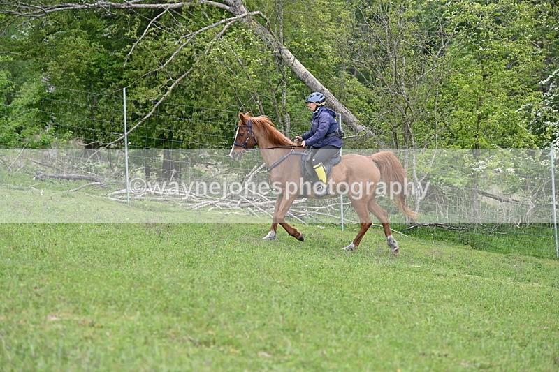 WJ6_3256 - A camera