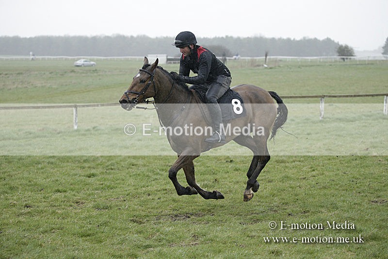PtP 150320 0097 - New Forest Point-to-Point Larkhill 15/03/20