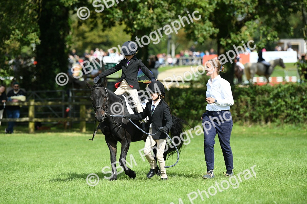 SBM_46959 - S12 - Family Horse & Pony