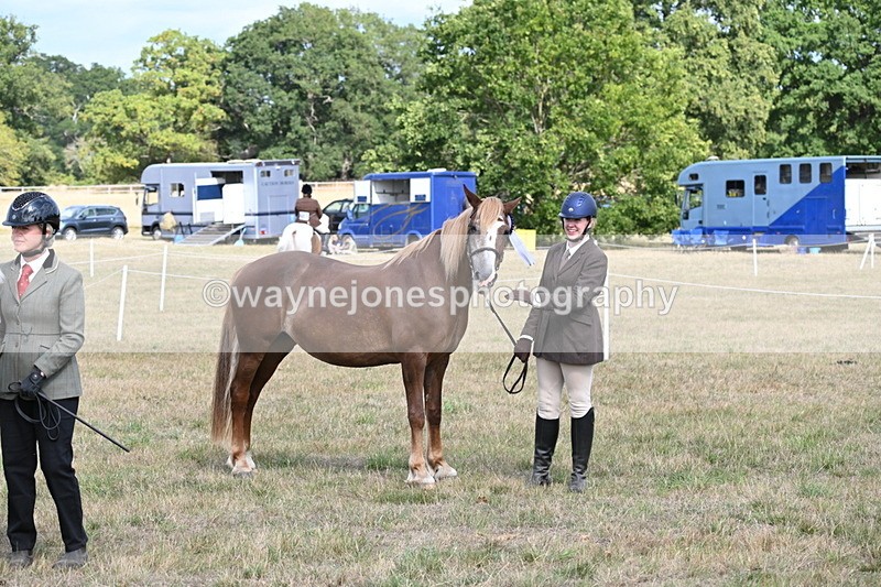 WJ6_6777 - Class 20 In-hand Cob